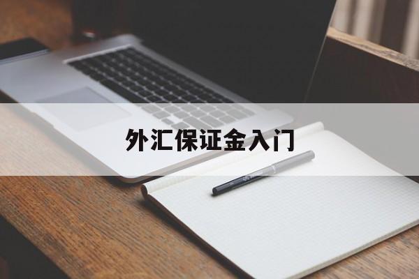 外汇保证金入门(外汇保证金交易是否合法知乎)