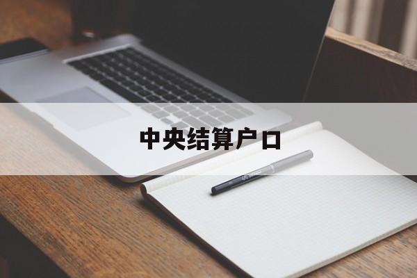 中央结算户口(中央结算公司 待遇户口)